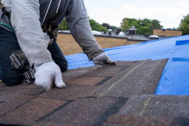 Best Flat Roof Repair Services  in Arcola, IL