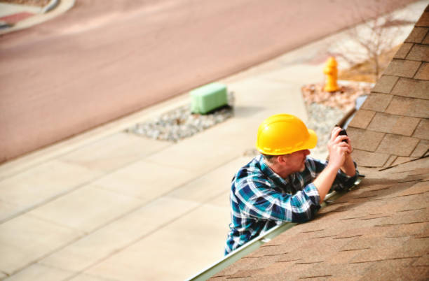 Best Roof Gutter Cleaning  in Arcola, IL