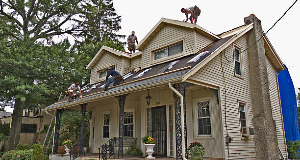 Best Storm Damage Roof Repair  in Arcola, IL